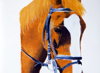 Pferd Ölbild